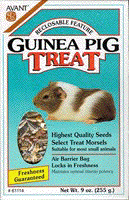 Guinea Pig Treat